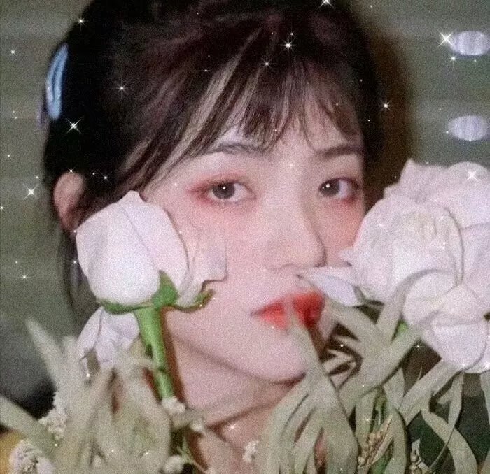 夏绿蒂的网
